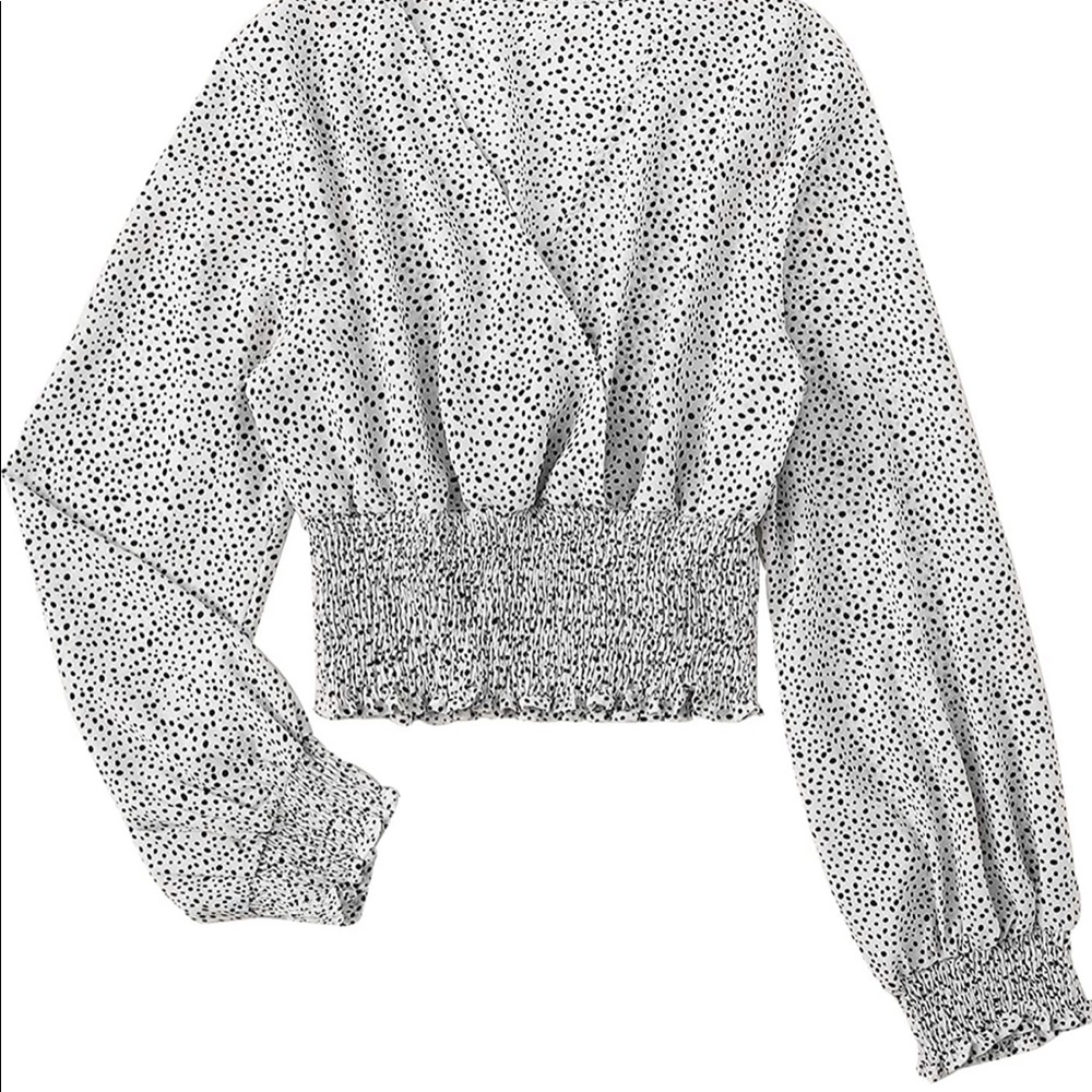 Women’s V-Neck Shirred Polka Dot Long Sleeve Crop Blouse